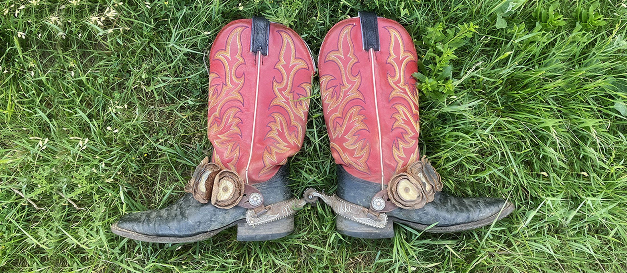 Black ostrich boots with red tops with spurs lying on the grass.